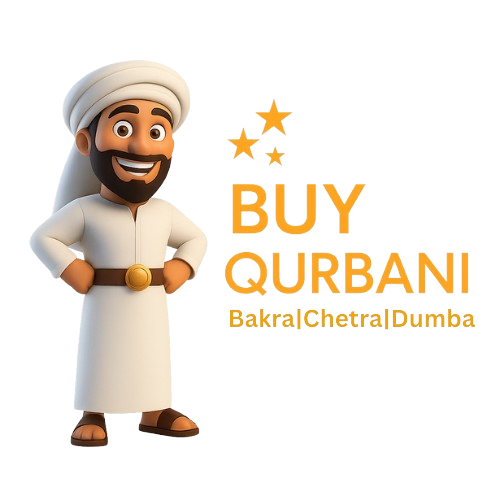 Buy Qurbani Animals Online